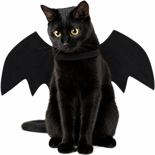 Bat Wings Costume