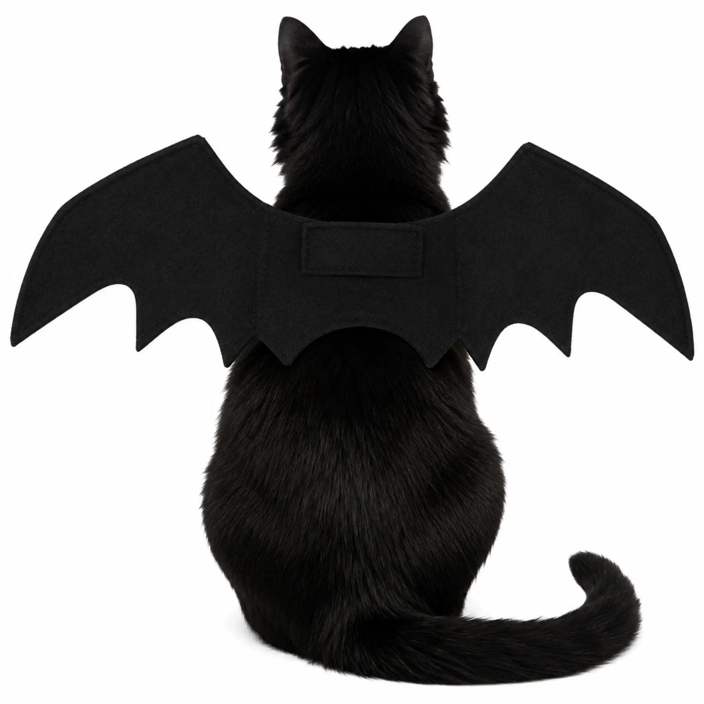 Bat Wings Costume